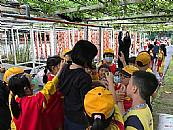 縮圖：
