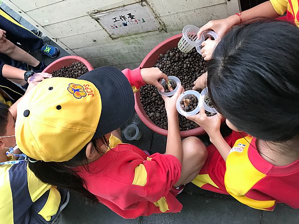 放大圖：