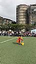 最新相簿圖片縮圖：