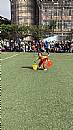 最新相簿圖片縮圖：