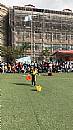 最新相簿圖片縮圖：