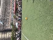 最新相簿圖片縮圖：