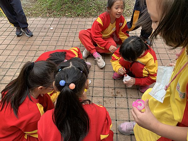 放大圖：