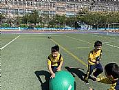 縮圖：