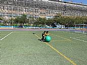 縮圖：