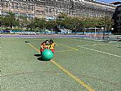 縮圖：