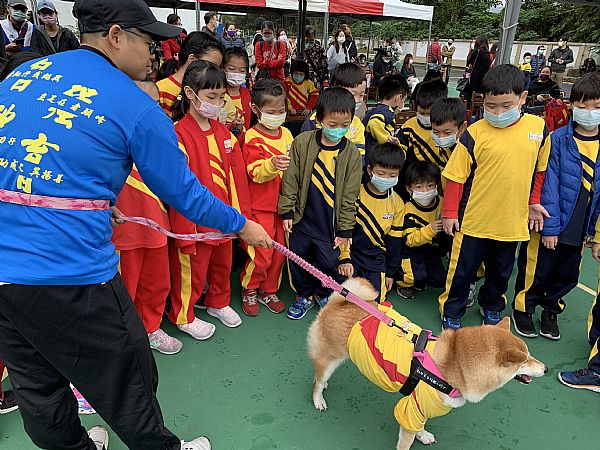 放大圖：
