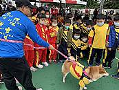 縮圖：