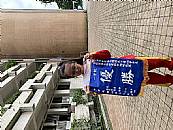 縮圖：