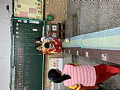 最新相簿圖片縮圖：