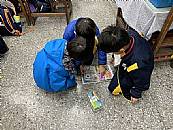 最新相簿圖片縮圖：