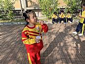 縮圖：