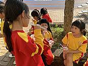 縮圖：