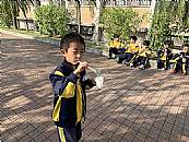 縮圖：