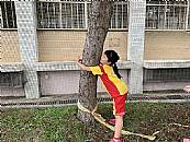 縮圖：