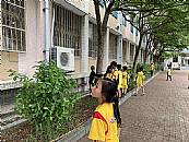 縮圖：