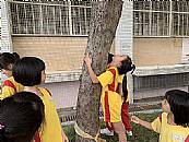縮圖：