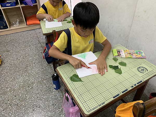 放大圖：