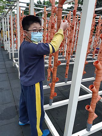 放大圖：