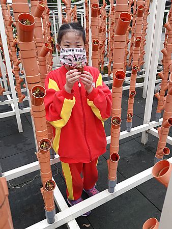 放大圖：