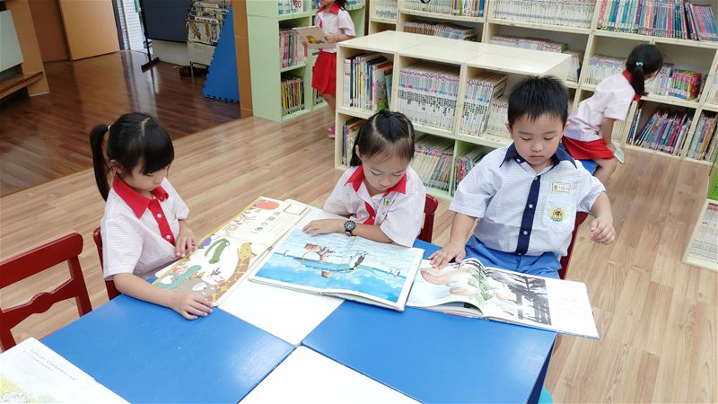 放大圖：