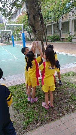 放大圖：