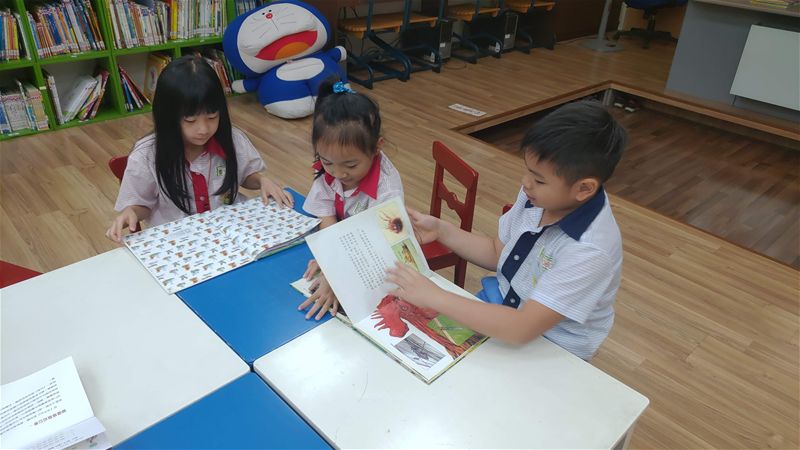 放大圖：