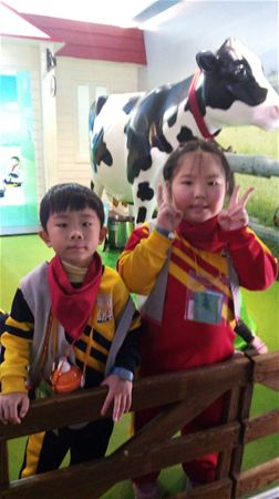 放大圖：