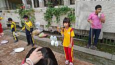 縮圖：