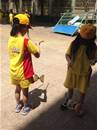縮圖：