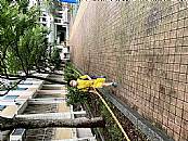 縮圖：