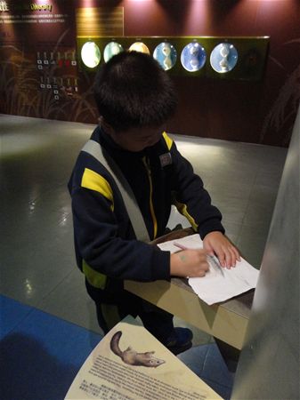 放大圖：