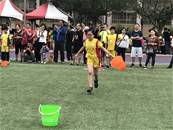 縮圖：