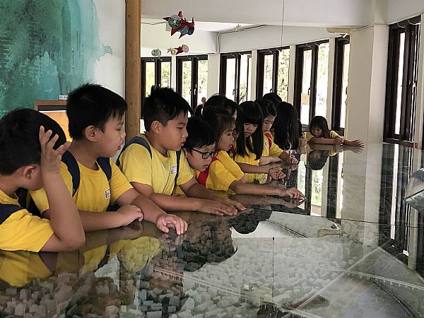 放大圖：