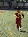 縮圖：