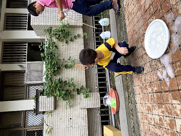 放大圖：