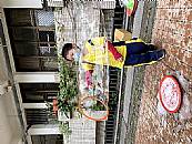 縮圖：