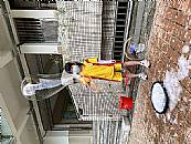 縮圖：
