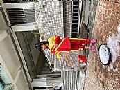 縮圖：