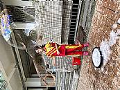縮圖：