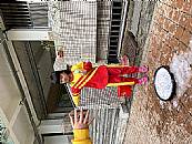 縮圖：
