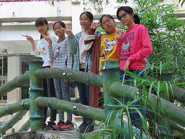 放大圖：