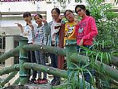 縮圖：