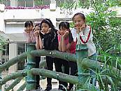縮圖：