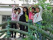 縮圖：