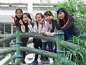 縮圖：