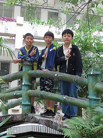 放大圖：