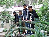 縮圖：
