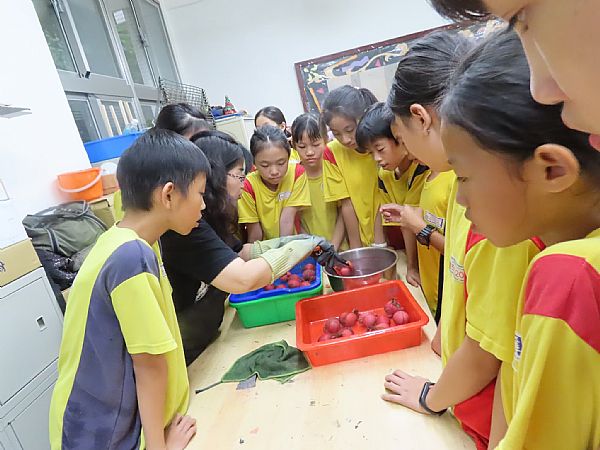 放大圖：