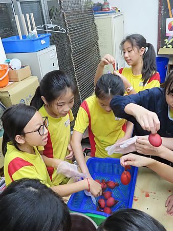 放大圖：